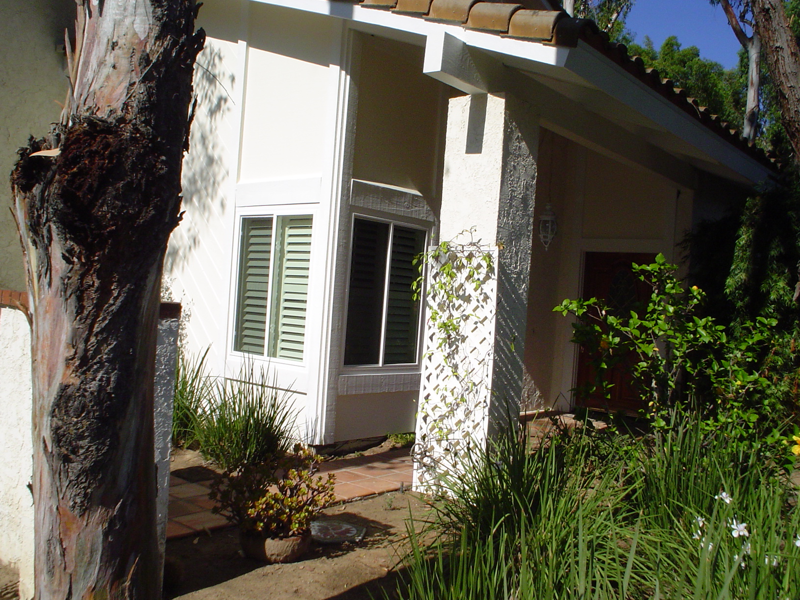 Replacement window exterior detail